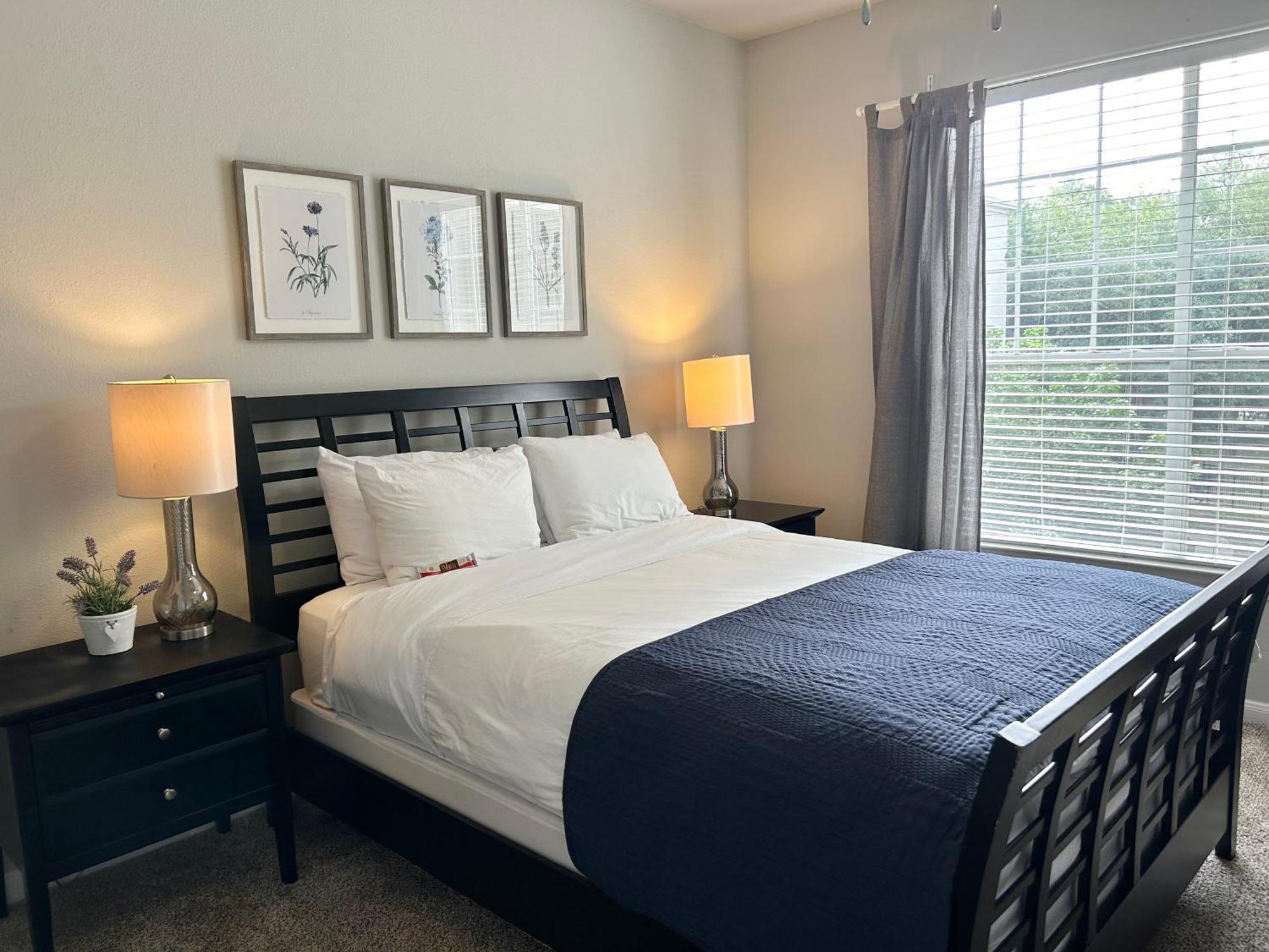 Hidden Gem at Med Center 2BR&2BA Apartment Houston Eksteriør billede