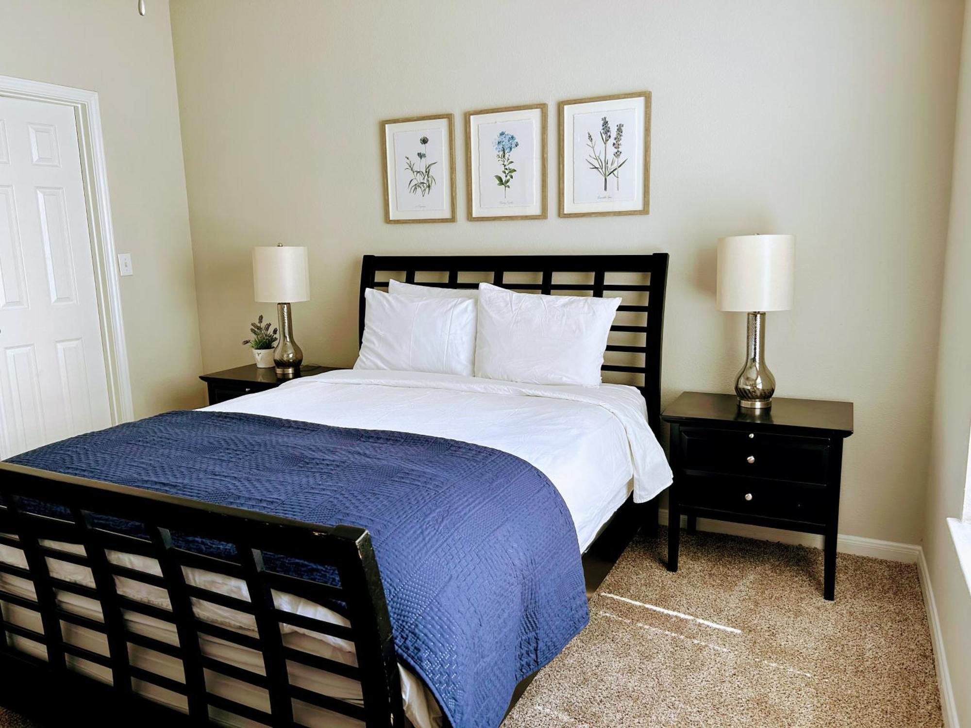 Hidden Gem at Med Center 2BR&2BA Apartment Houston Eksteriør billede