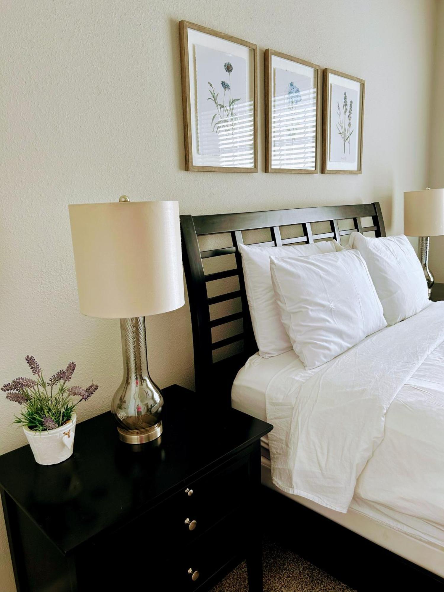 Hidden Gem at Med Center 2BR&2BA Apartment Houston Eksteriør billede