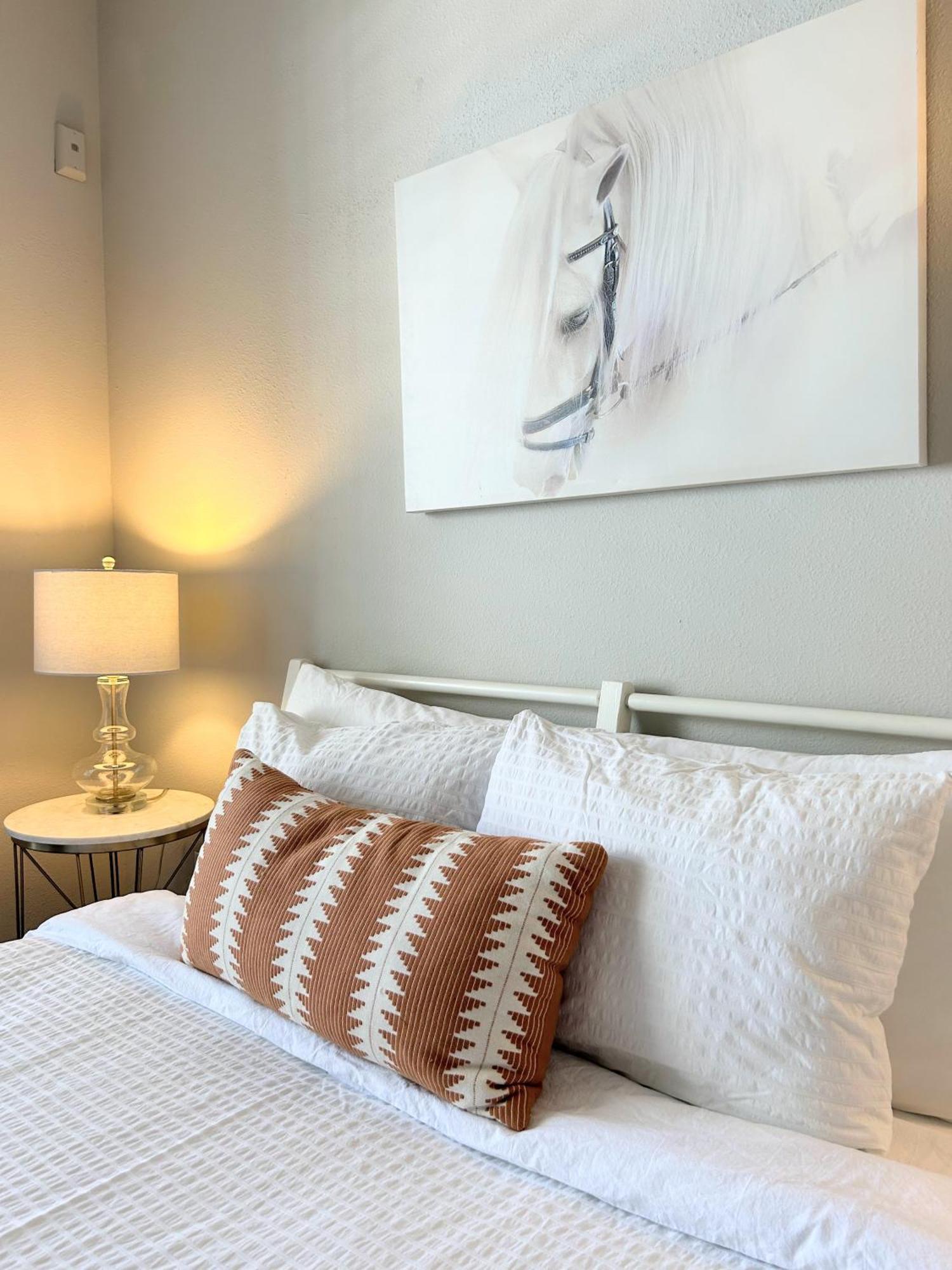 Hidden Gem at Med Center 2BR&2BA Apartment Houston Eksteriør billede